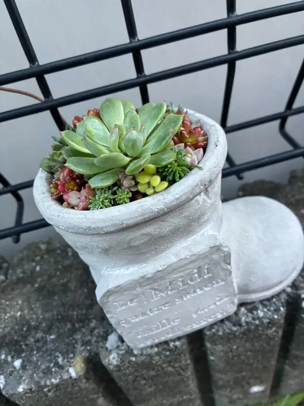 長ぐつの形の鉢に植えた寄せ植え(Mサイズ)