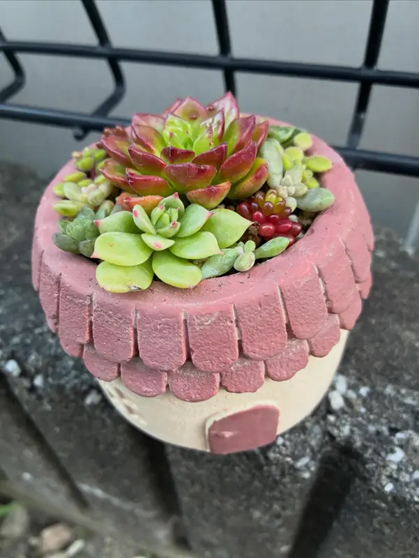 レンガ色の屋根の鉢に植えた寄せ植え(Sサイズ)