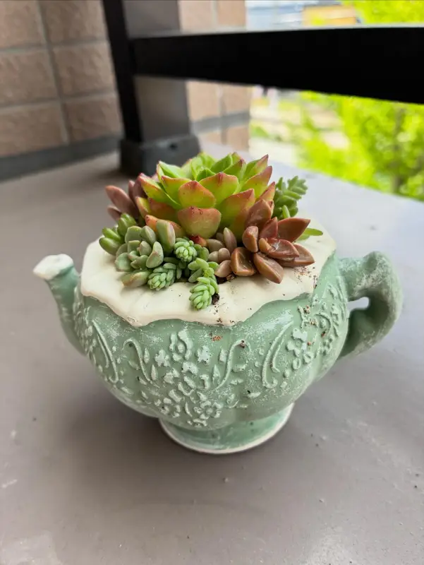 緑のティーポットの鉢に植えた寄せ植え(Sサイズ)