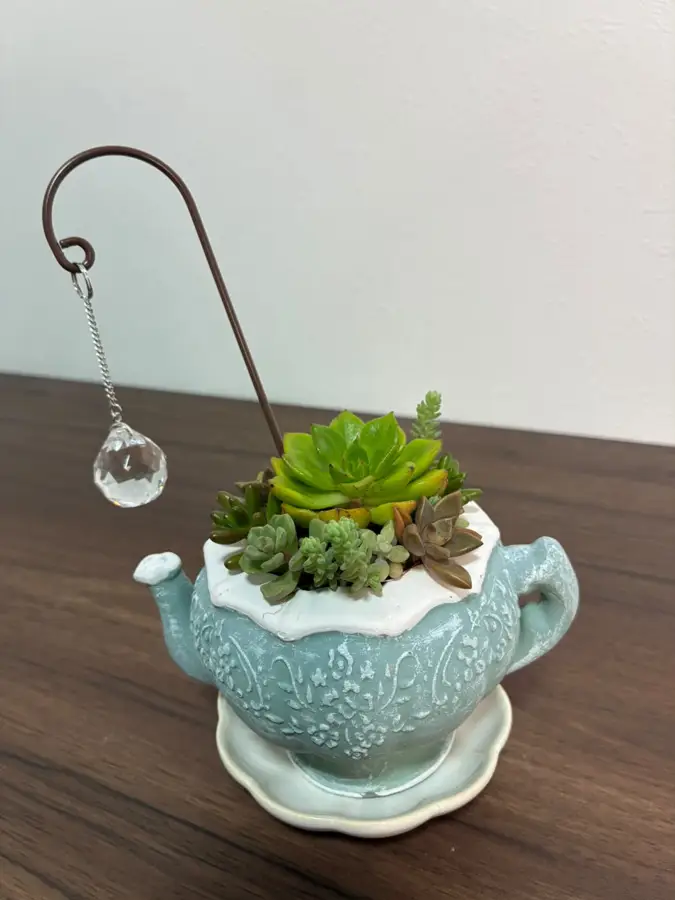 ティーポットの鉢に植えた寄せ植え
